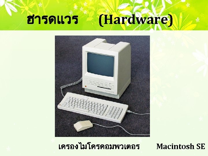 ฮารดแวร (Hardware) เครองไมโครคอมพวเตอร Macintosh SE 