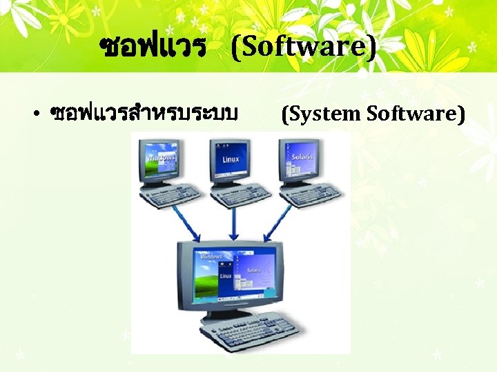 ซอฟแวร (Software) • ซอฟแวรสำหรบระบบ (System Software) 