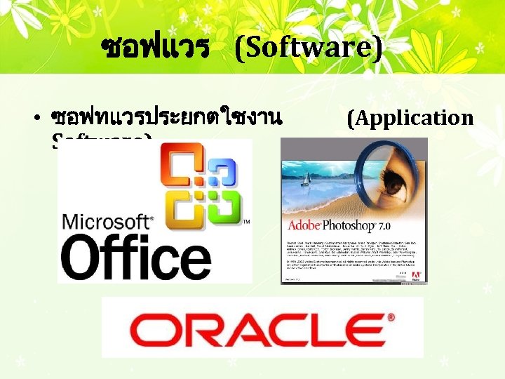 ซอฟแวร (Software) • ซอฟทแวรประยกตใชงาน Software) (Application 