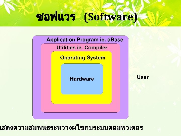 ซอฟแวร (Software) แสดงความสมพนธระหวางผใชกบระบบคอมพวเตอร 