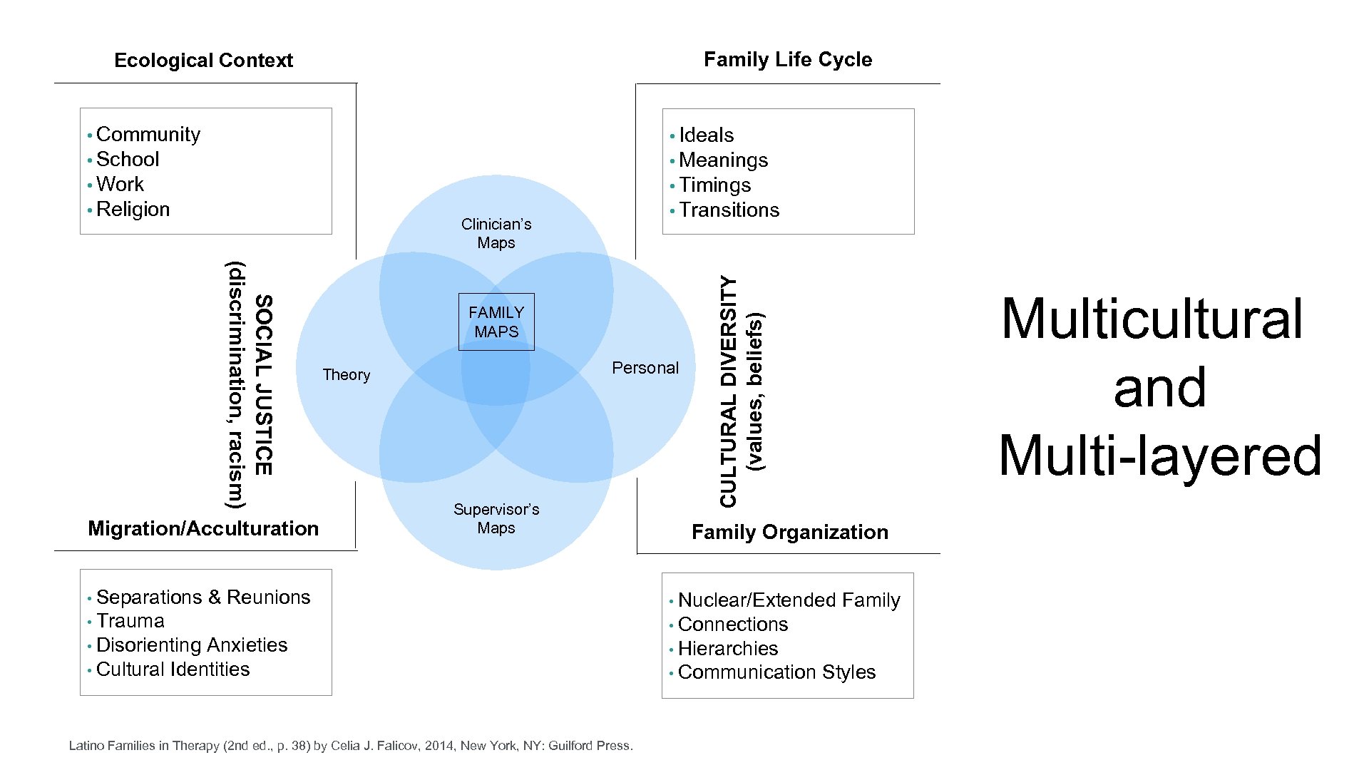 Family Life Cycle Ecological Context • Ideals • School • Meanings • Work •