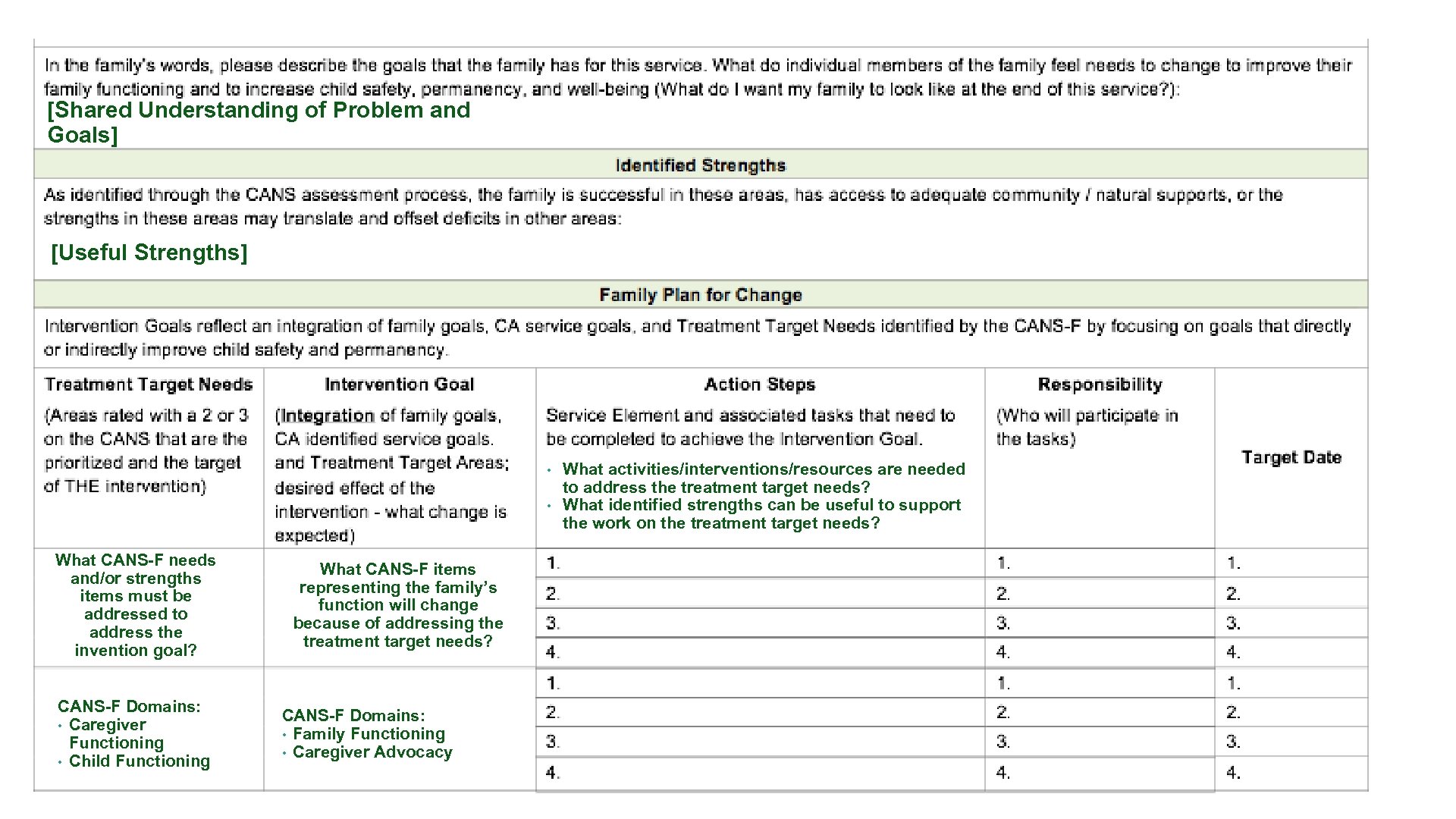 [Shared Understanding of Problem and Goals] [Useful Strengths] • • What CANS-F needs and/or