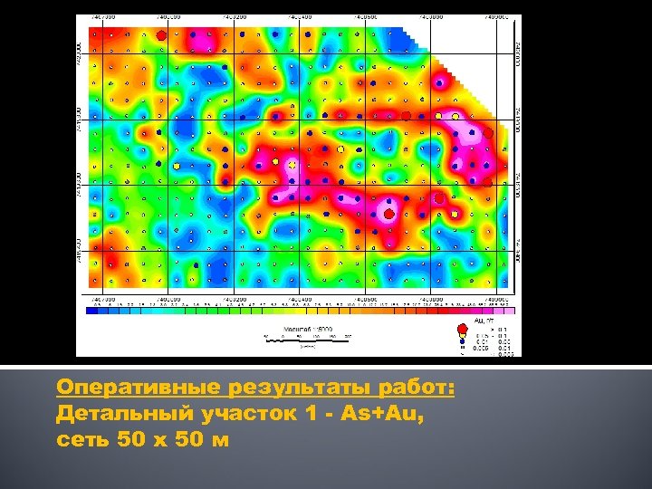 Оперативные результаты работ: Детальный участок 1 - As+Au, сеть 50 х 50 м 