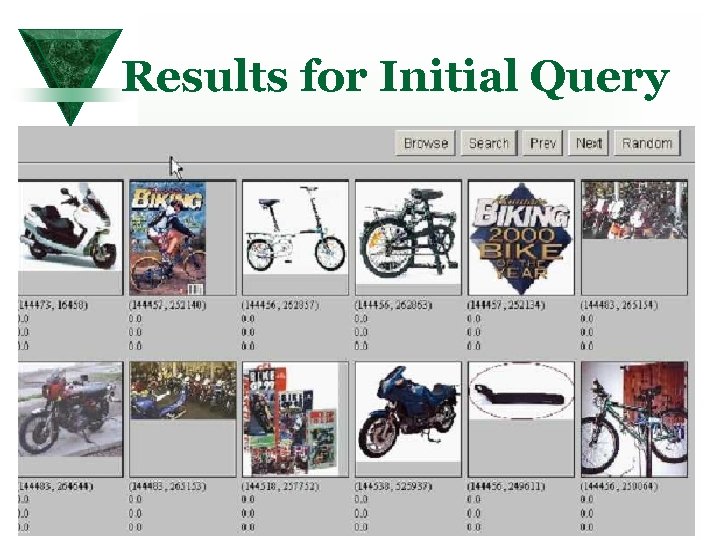 Results for Initial Query 