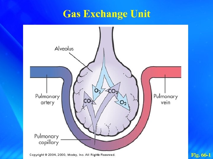Gas Exchange Unit Fig. 66 -1 