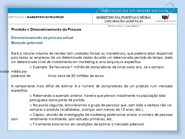 CAPÍTULO 2 ● MARKETING ESTRATÉGIO Previsão e Dimensionamento da Procura Dimensionamento da procura actual