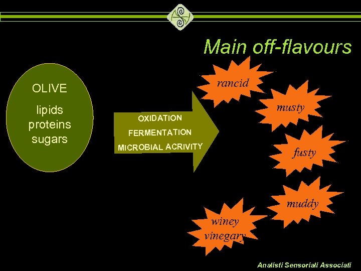 Main off-flavours rancid OLIVE lipids proteins sugars musty OXIDATION FERMENTATION MICROBIAL ACRIVITY fusty muddy