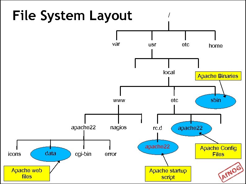 File System Layout var / usr etc local www apache 22 nagios Apache Binaries
