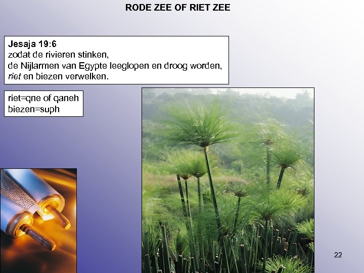 RODE ZEE OF RIET ZEE Jesaja 19: 6 zodat de rivieren stinken, de Nijlarmen