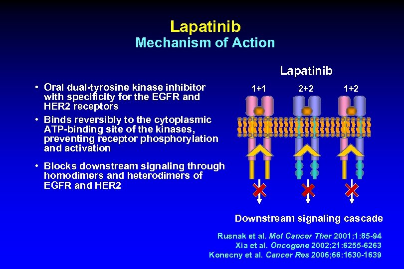 Lapatinib Mechanism of Action Lapatinib • Oral dual-tyrosine kinase inhibitor with specificity for the