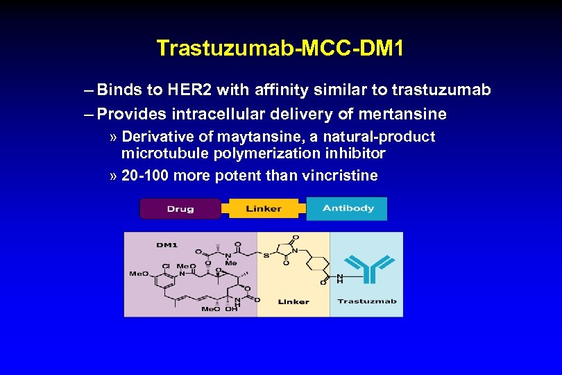 Trastuzumab-MCC-DM 1 – Binds to HER 2 with affinity similar to trastuzumab – Provides