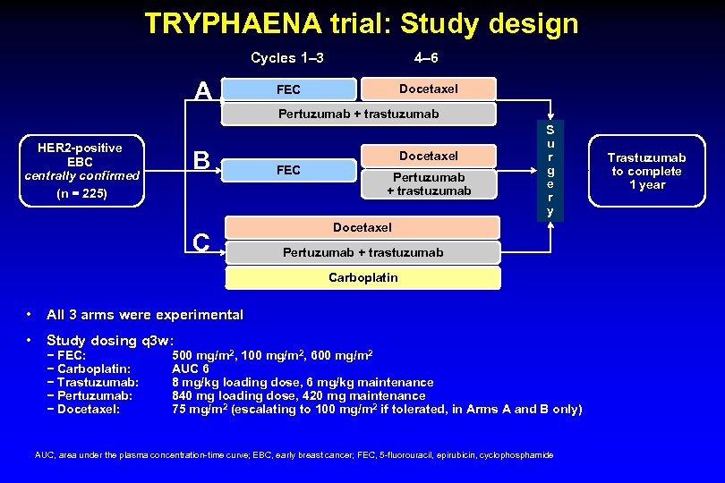 TRYPHAENA trial: Study design Cycles 1‒ 3 A 4‒ 6 FEC Docetaxel Pertuzumab +