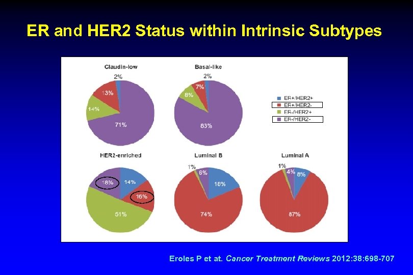 ER and HER 2 Status within Intrinsic Subtypes Eroles P et at. Cancer Treatment