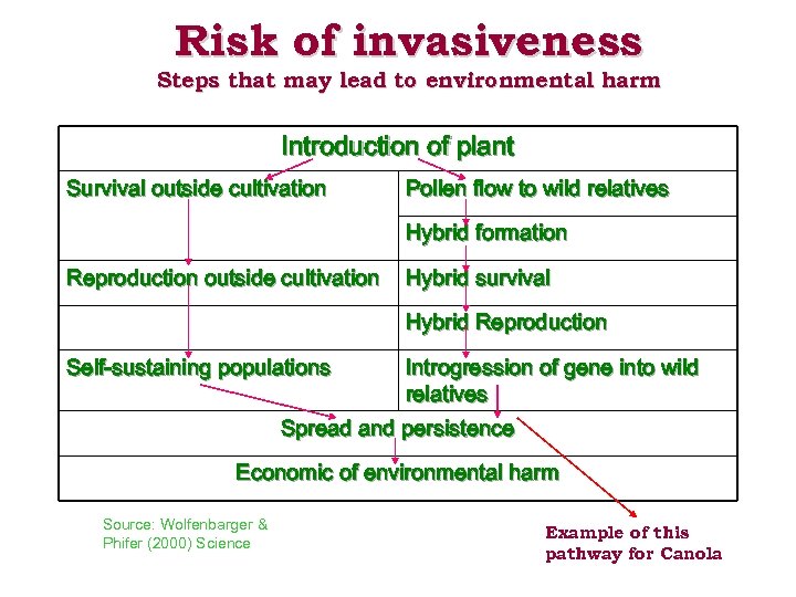 Risk of invasiveness Steps that may lead to environmental harm Introduction of plant Survival