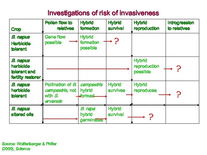 Investigations of risk of invasiveness Crop B. napus Herbicide tolerant Pollen flow to relatives