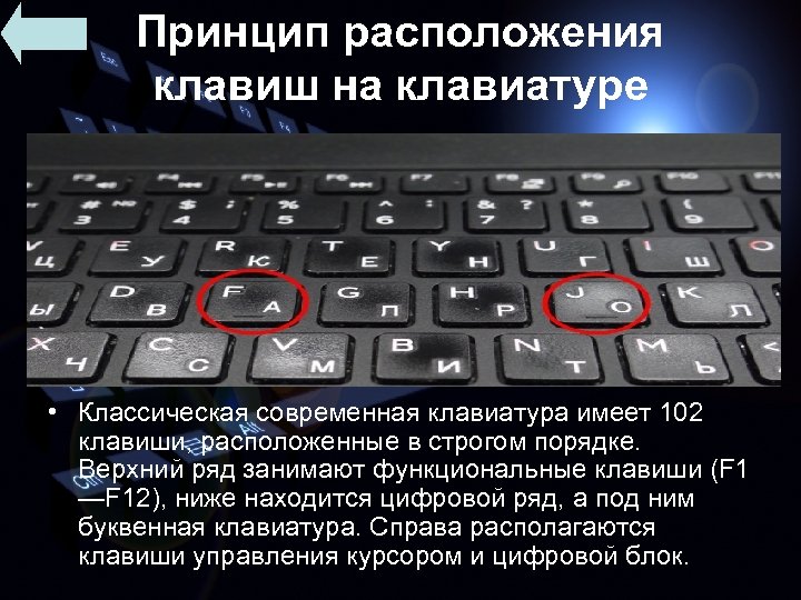 Принцип расположения клавиш на клавиатуре • Классическая современная клавиатура имеет 102 клавиши, расположенные в