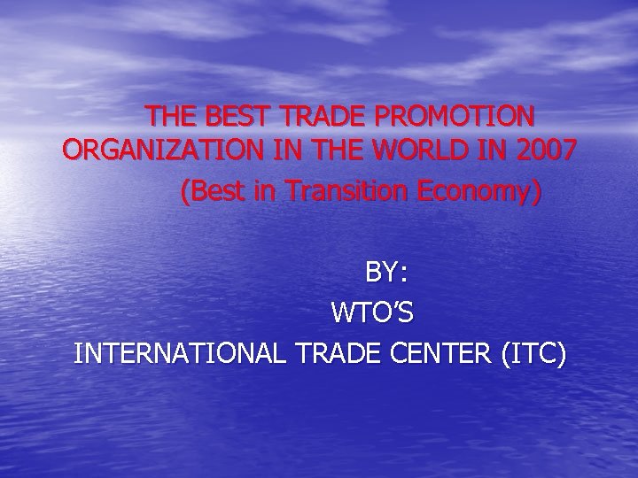 THE BEST TRADE PROMOTION ORGANIZATION IN THE WORLD IN 2007 (Best in Transition Economy)