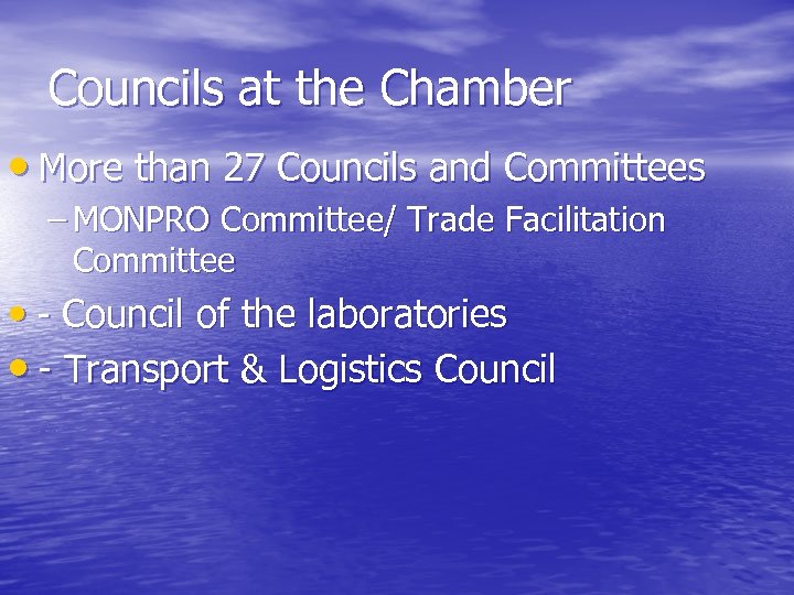 Councils at the Chamber • More than 27 Councils and Committees – MONPRO Committee/