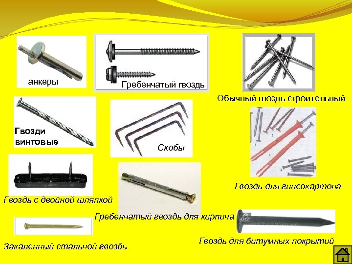 анкеры Гребенчатый гвоздь Обычный гвоздь строительный Гвозди винтовые Скобы Гвоздь для гипсокартона Гвоздь с