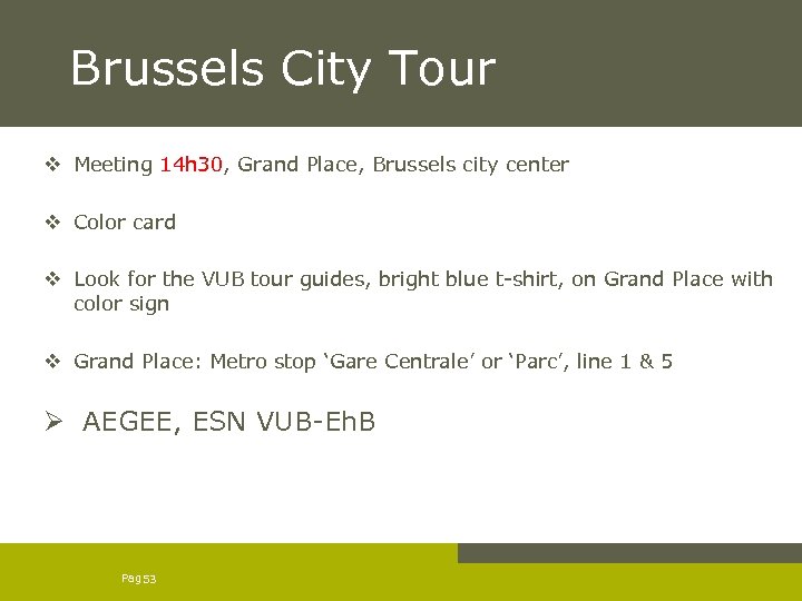 Brussels City Tour v Meeting 14 h 30, Grand Place, Brussels city center v