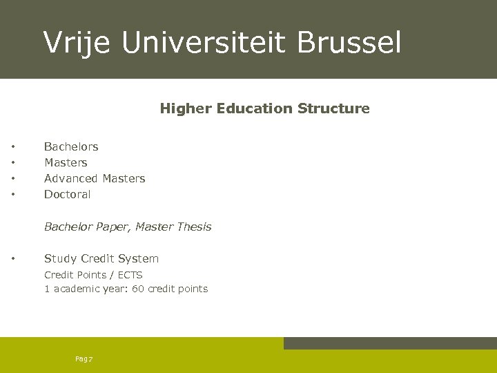 Vrije Universiteit Brussel Higher Education Structure • • • Bachelors Masters Advanced Masters Doctoral