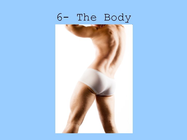 6 - The Body 