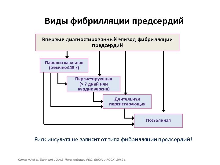 Виды фибрилляции предсердий Впервые диагностированный эпизод фибрилляции предсердий Пароксизмальная (обычно≤ 48 x) Персистирующая (>