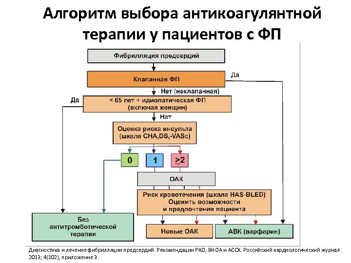 Алгоритм выбора антикоагулянтной терапии у пациентов с ФП Диагностика и лечение фибрилляции предсердий. Рекомендации