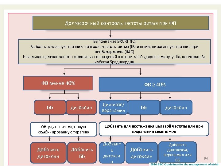 Долгосрочный контроль частоты ритма при ФП Выполнение ЭХОКГ (IC) Выбрать начальную терапию контроля частоты