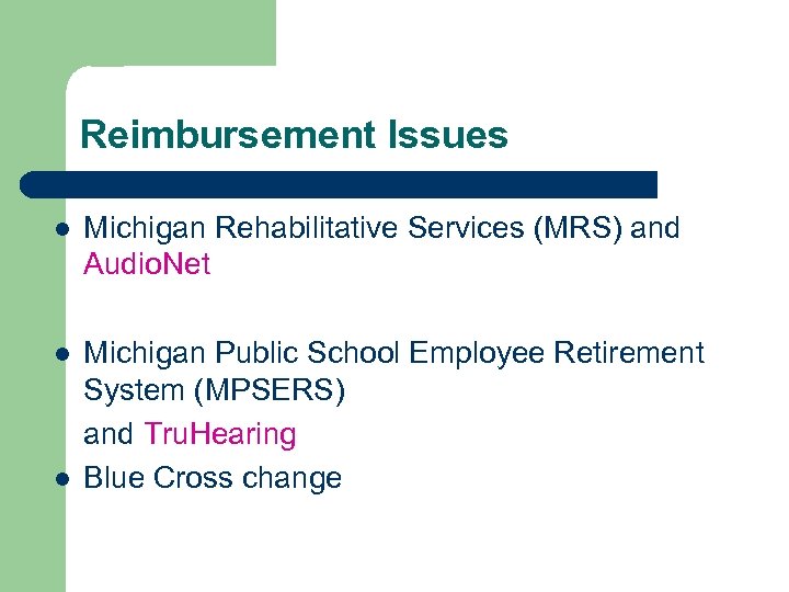 Reimbursement Issues l Michigan Rehabilitative Services (MRS) and Audio. Net l Michigan Public School