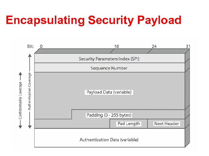 Encapsulating Security Payload 
