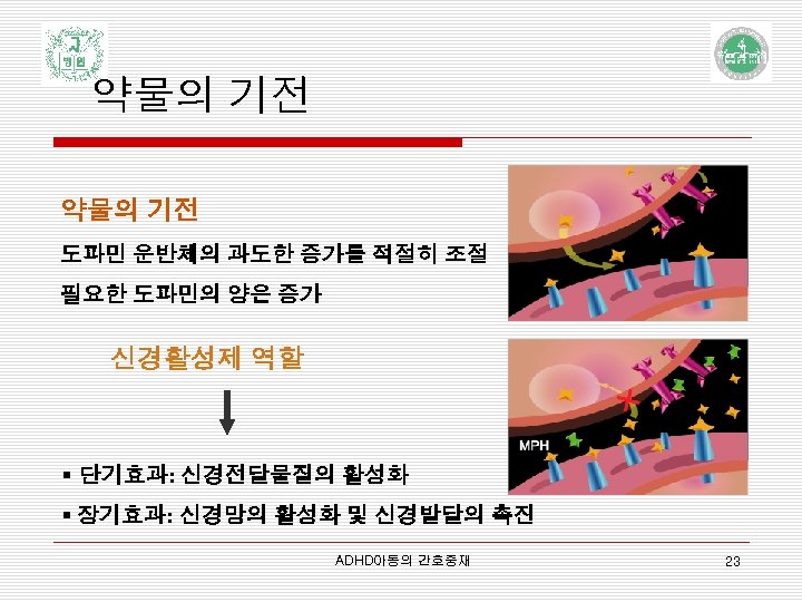 약물의 기전 도파민 운반체의 과도한 증가를 적절히 조절 필요한 도파민의 양은 증가 신경활성제 역할