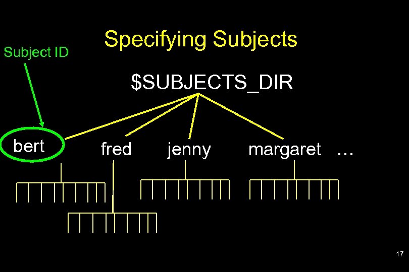 Subject ID Specifying Subjects $SUBJECTS_DIR bert fred jenny margaret … 17 