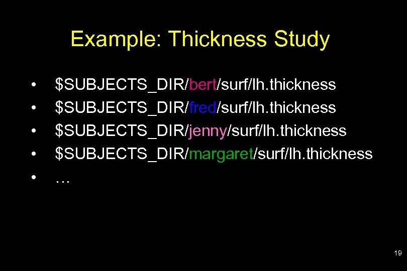 Example: Thickness Study • • • $SUBJECTS_DIR/bert/surf/lh. thickness $SUBJECTS_DIR/fred/surf/lh. thickness $SUBJECTS_DIR/jenny/surf/lh. thickness $SUBJECTS_DIR/margaret/surf/lh. thickness