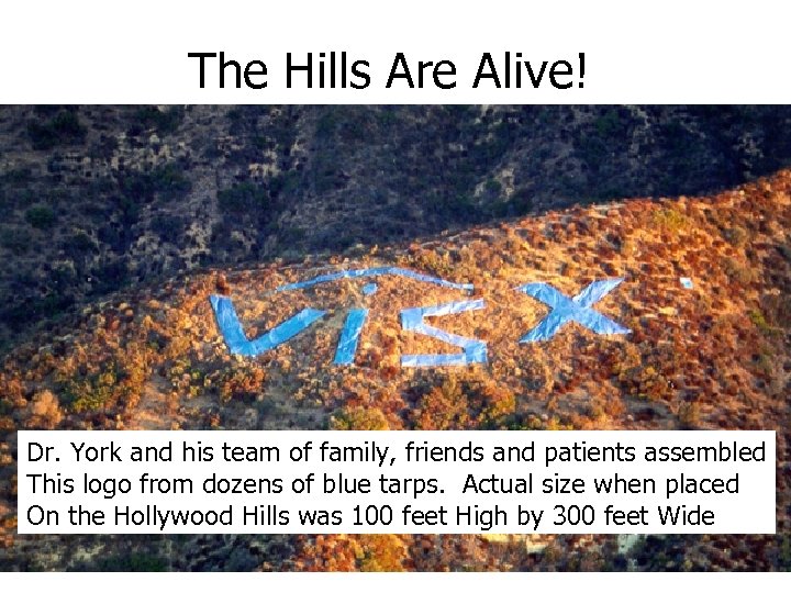 The Hills Are Alive! Dr. York and his team of family, friends and patients