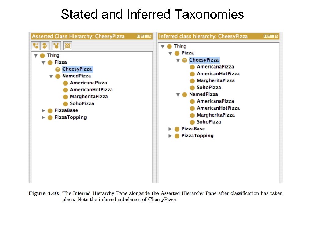 Stated and Inferred Taxonomies 
