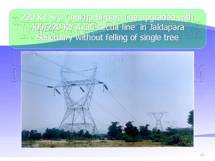 220 KV S/C Chukha-Birpara line upgraded with 400/220 KV multi-circuit line in Jaldapara Sanctuary