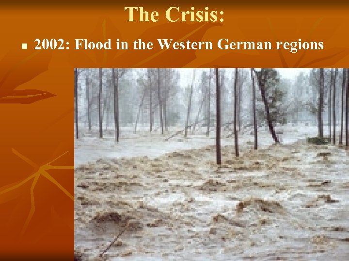 The Crisis: n 2002: Flood in the Western German regions 