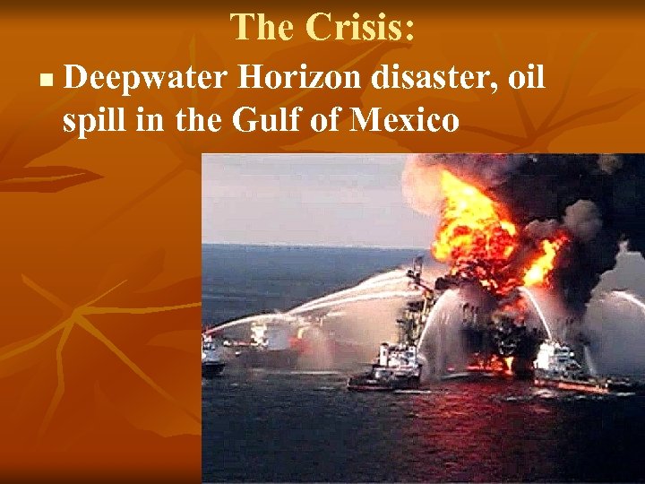 The Crisis: n Deepwater Horizon disaster, oil spill in the Gulf of Mexico 