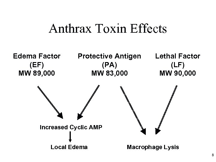 Anthrax Toxin Effects Edema Factor (EF) MW 89, 000 Protective Antigen (PA) MW 83,