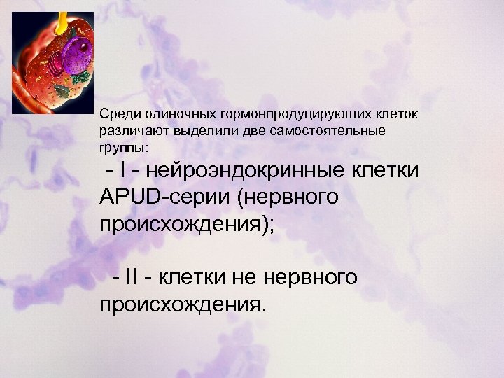 Среди одиночных гормонпродуцирующих клеток различают выделили две самостоятельные группы: - I - нейроэндокринные клетки