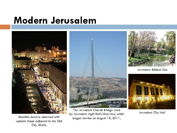 Modern Jerusalem Biblical Zoo Mamilla Avenue adorned with upscale shops adjacent to the Old