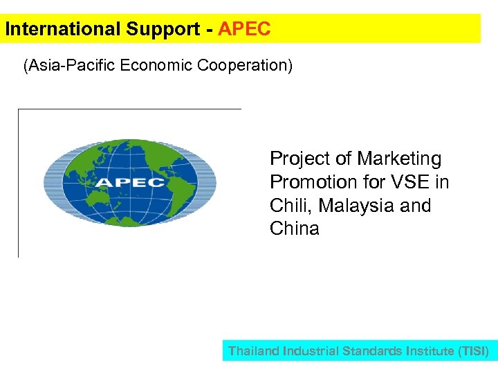 International Support - APEC (Asia-Pacific Economic Cooperation) Project of Marketing Promotion for VSE in