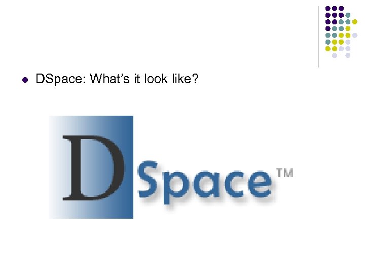 l DSpace: What’s it look like? 