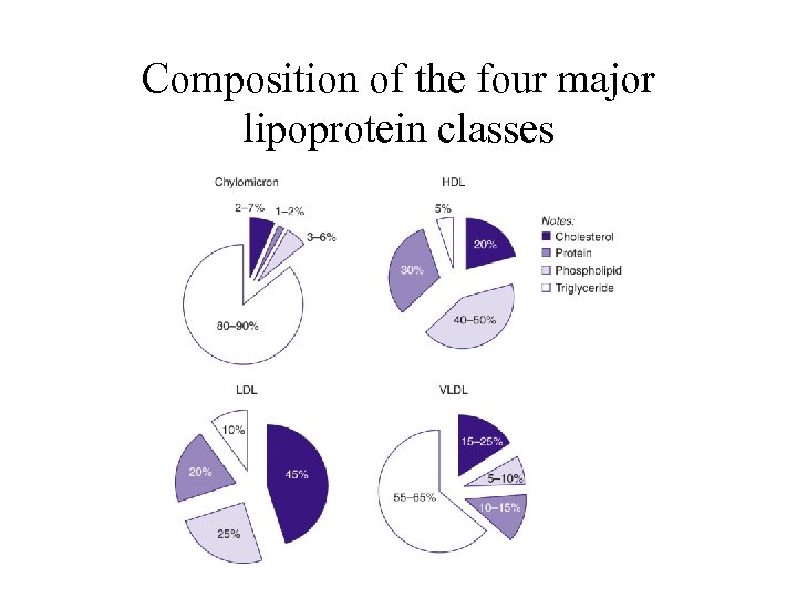 Composition of the four major lipoprotein classes 