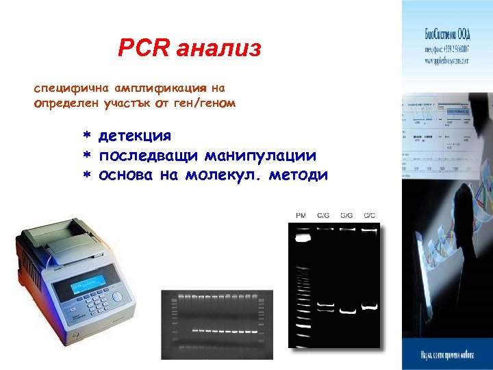 PCR анализ специфична амплификация на определен участък от ген/геном детекция последващи манипулации основа на
