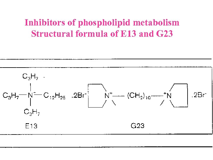 Inhibitors of phospholipid metabolism Structural formula of E 13 and G 23 