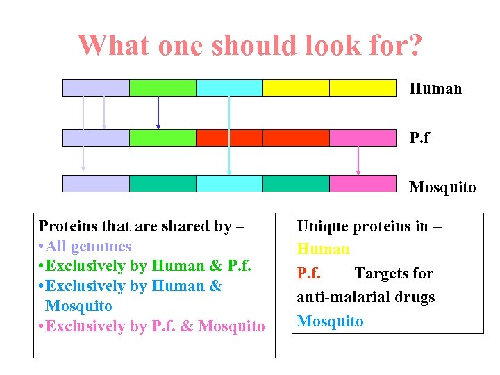 What one should look for? Human P. f Mosquito Proteins that are shared by