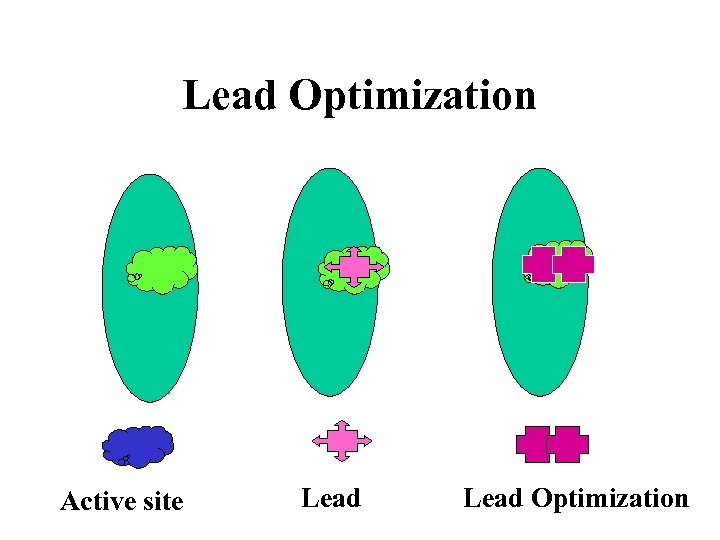 Lead Optimization Active site Lead Optimization 