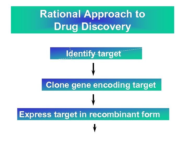 Rational Approach to Drug Discovery Identify target Clone gene encoding target Express target in